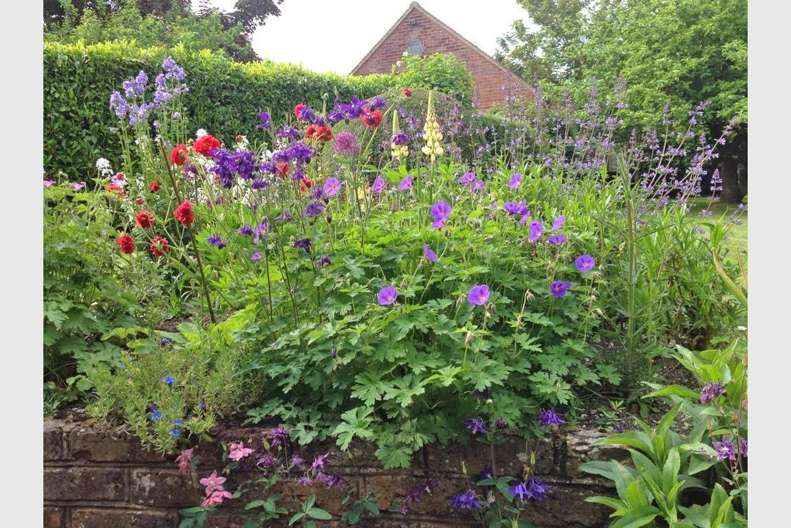 House For Sale Hinton Martell Wimborne BH21 7HE Ref WBO230129