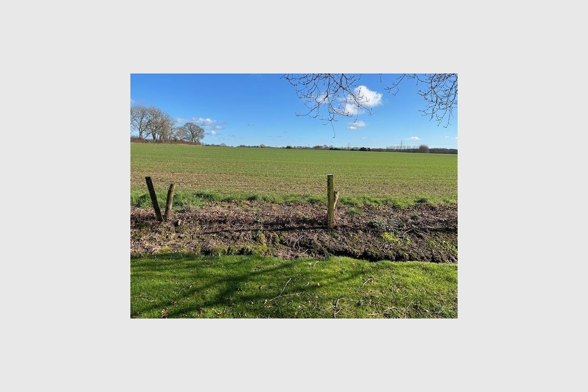 House For Sale Gaunts Common Wimborne BH21 4JR Ref WBO240024