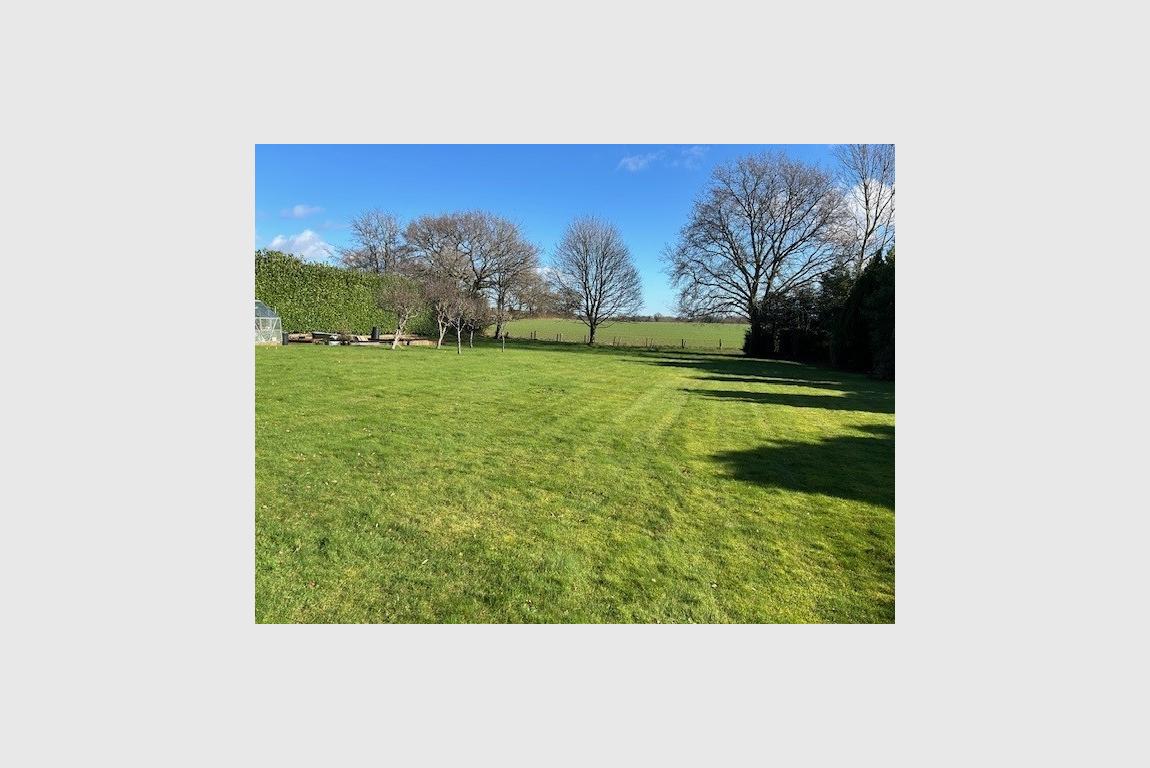 House For Sale Gaunts Common Wimborne BH21 4JR Ref WBO240024