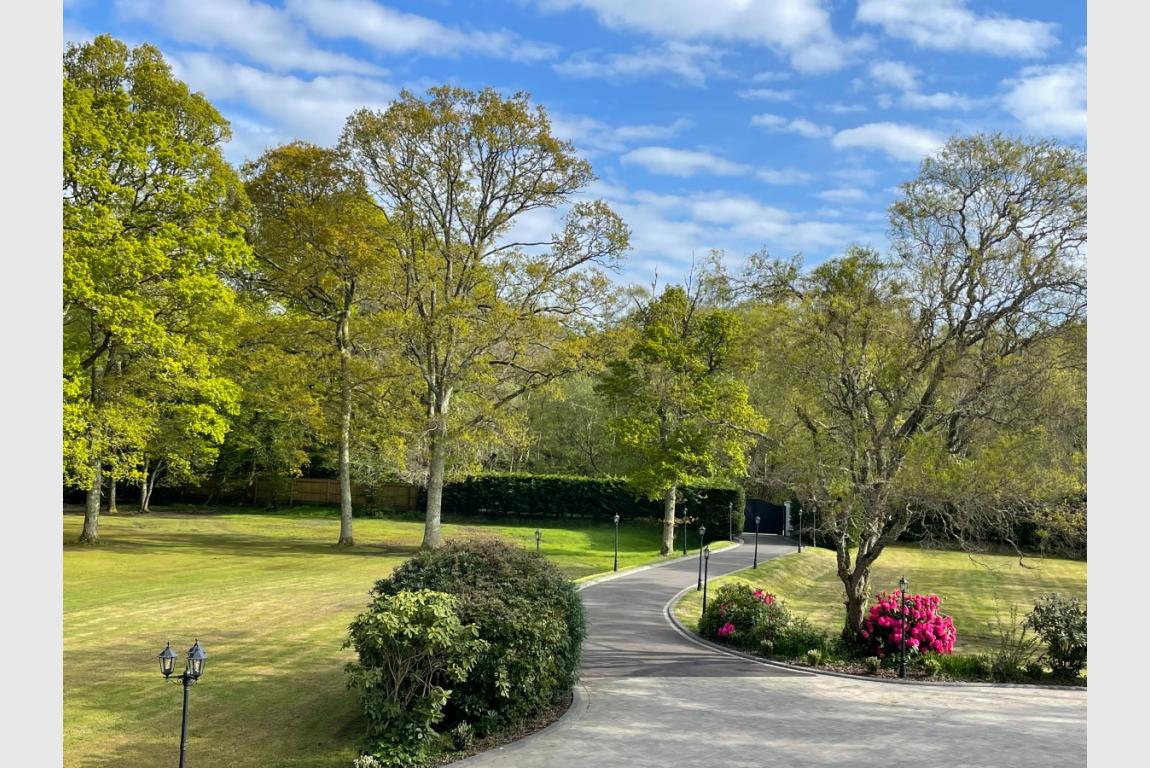 House For Sale Arrowsmith Road Wimborne BH21 3BD Ref WBO240015