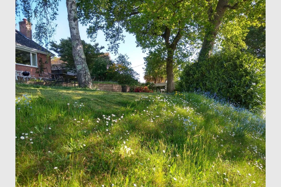 Image: 17 Brook Lane Wimborne Dorset Corfe Mullen