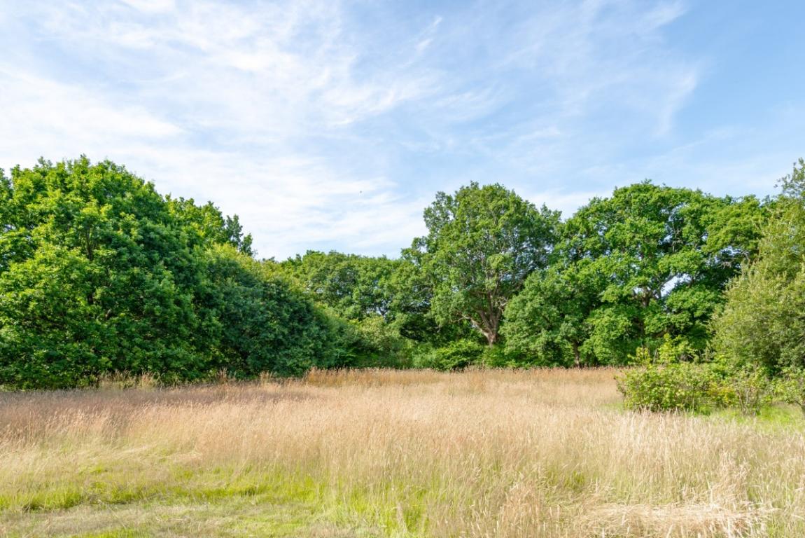 Image: 5 Furzehill Wimborne Dorset Furzehill