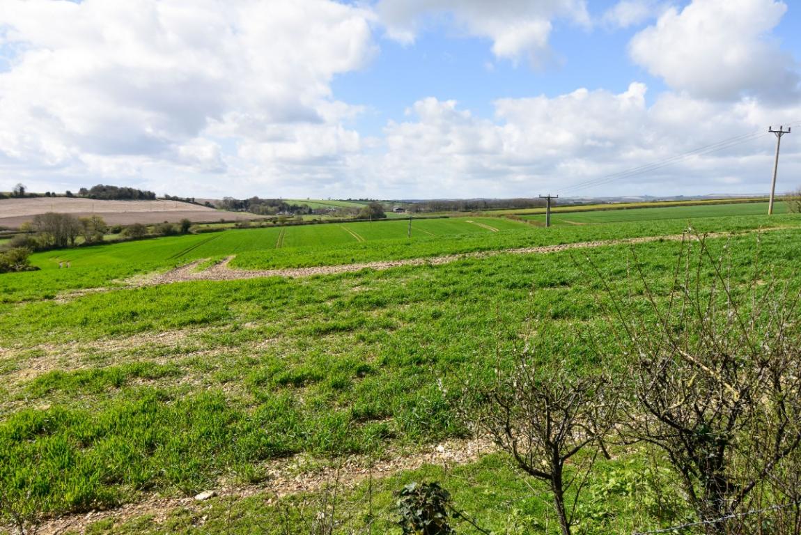 Image: 33 Harley Lane Wimborne Dorset Gussage All Saints