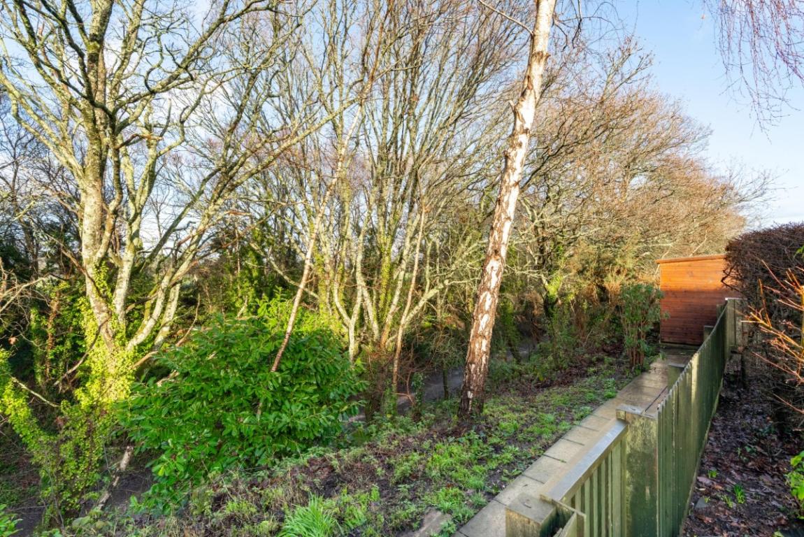 Image: 27 Ivy Road Wimborne Dorset Wimborne