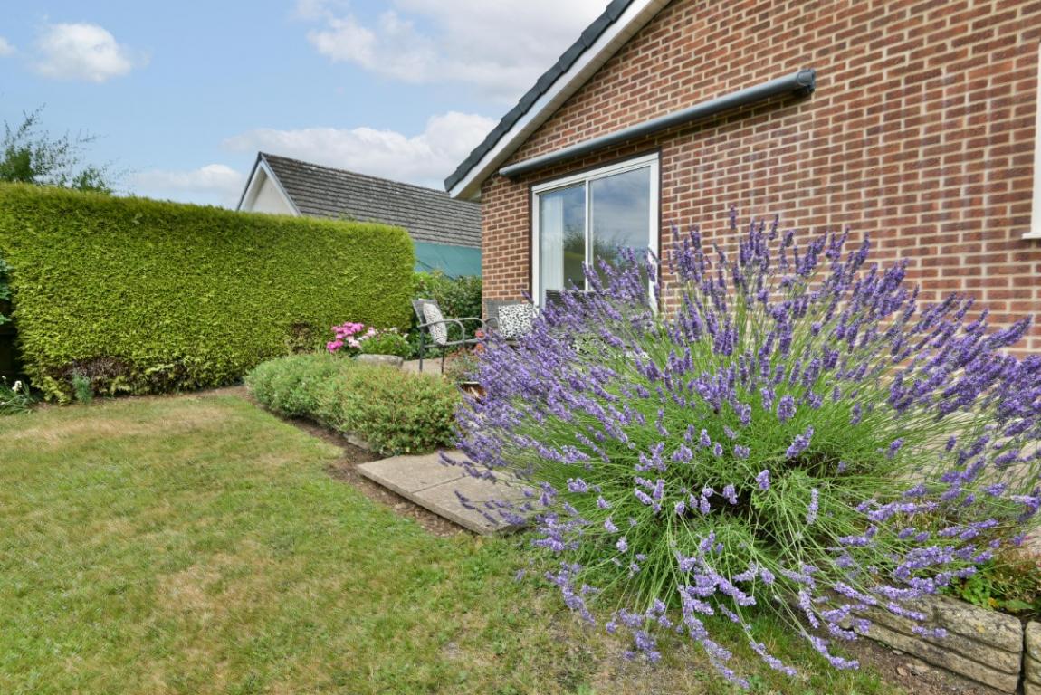 Image: 28 Sopwith Crescent Wimborne Dorset Merley